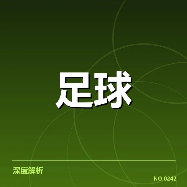 里尔引援风波：球队阵容调整存疑虑